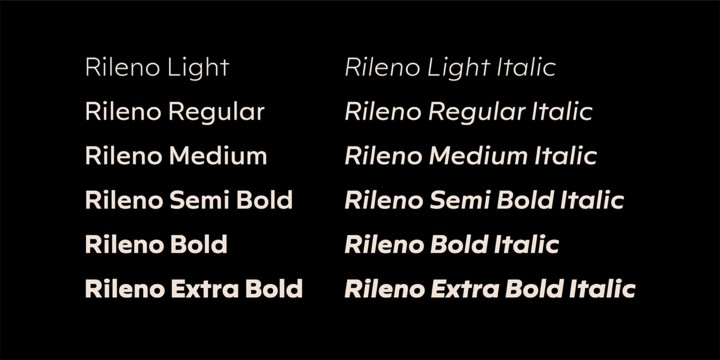Rileno Sans